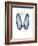 Xmas Angel Wings-Albert Koetsier-Framed Premium Giclee Print