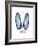 Xmas Angel Wings-Albert Koetsier-Framed Premium Giclee Print