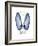 Xmas Angel Wings-Albert Koetsier-Framed Premium Giclee Print