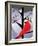 Xmas Cardinals-Marie Sansone-Framed Giclee Print