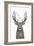 Xmas Deer-Balazs Solti-Framed Giclee Print