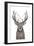 Xmas Deer-Balazs Solti-Framed Giclee Print