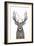 Xmas Deer-Balazs Solti-Framed Giclee Print