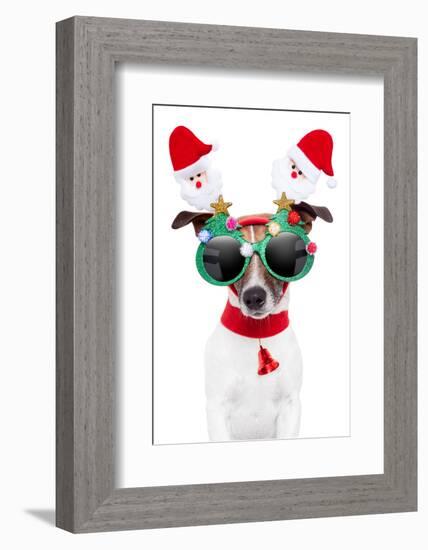 Xmas Dog-Javier Brosch-Framed Photographic Print