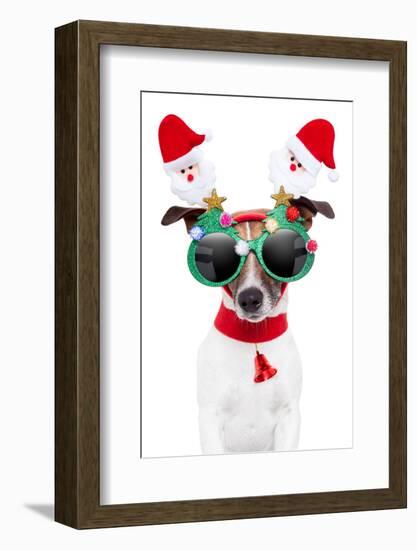 Xmas Dog-Javier Brosch-Framed Photographic Print