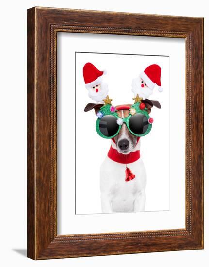 Xmas Dog-Javier Brosch-Framed Photographic Print