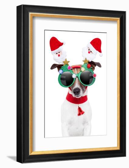 Xmas Dog-Javier Brosch-Framed Photographic Print