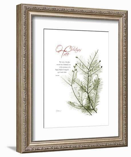 Xmas Evergreen-Albert Koetsier-Framed Premium Giclee Print