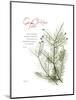Xmas Evergreen-Albert Koetsier-Mounted Premium Giclee Print