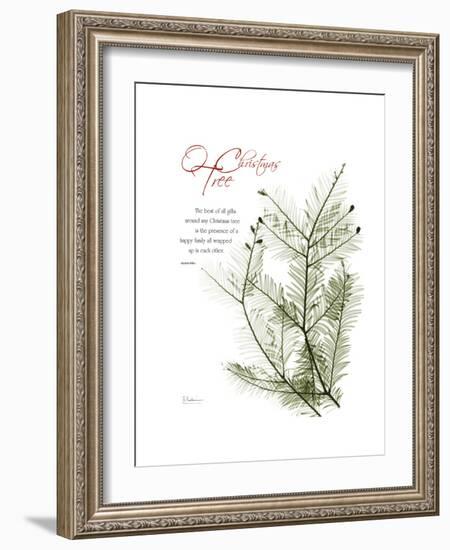 Xmas Evergreen-Albert Koetsier-Framed Premium Giclee Print