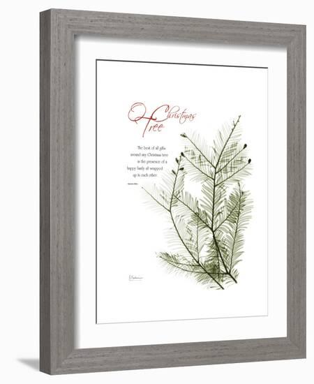 Xmas Evergreen-Albert Koetsier-Framed Premium Giclee Print