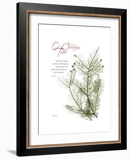 Xmas Evergreen-Albert Koetsier-Framed Premium Giclee Print