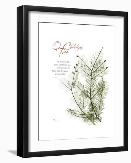 Xmas Evergreen-Albert Koetsier-Framed Premium Giclee Print