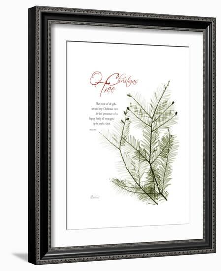 Xmas Evergreen-Albert Koetsier-Framed Premium Giclee Print