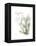 Xmas Evergreen-Albert Koetsier-Framed Stretched Canvas