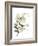 Xmas Holly-Albert Koetsier-Framed Premium Giclee Print