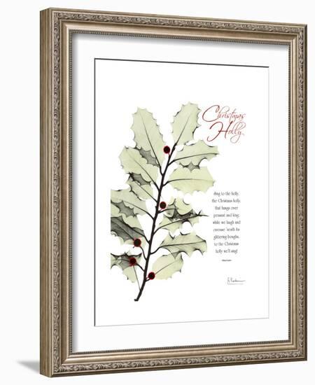 Xmas Holly-Albert Koetsier-Framed Premium Giclee Print