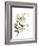 Xmas Holly-Albert Koetsier-Framed Premium Giclee Print