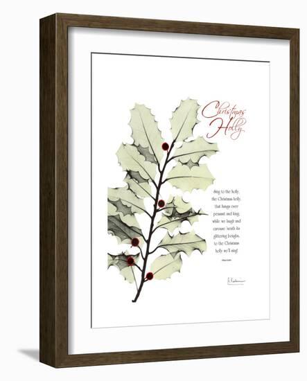 Xmas Holly-Albert Koetsier-Framed Premium Giclee Print