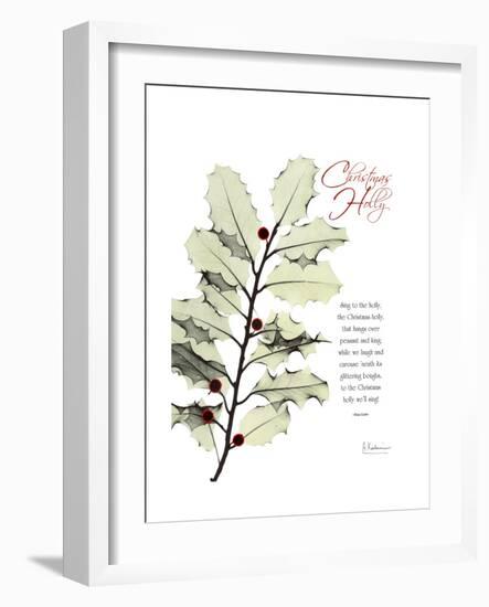 Xmas Holly-Albert Koetsier-Framed Premium Giclee Print