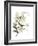 Xmas Holly-Albert Koetsier-Framed Premium Giclee Print