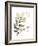 Xmas Holly-Albert Koetsier-Framed Premium Giclee Print