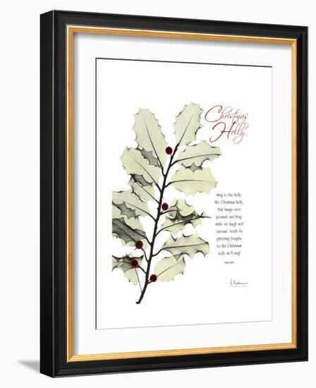 Xmas Holly-Albert Koetsier-Framed Premium Giclee Print