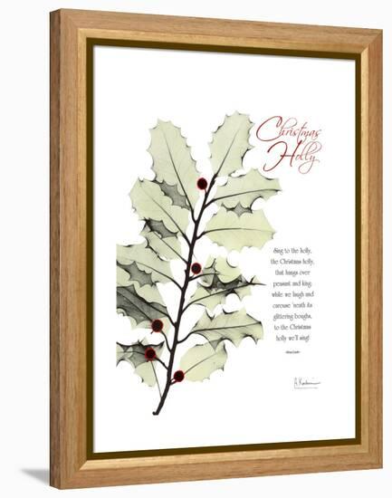 Xmas Holly-Albert Koetsier-Framed Stretched Canvas