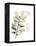 Xmas Holly-Albert Koetsier-Framed Stretched Canvas