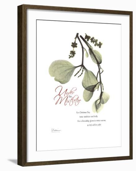 Xmas Mistletoe-Albert Koetsier-Framed Premium Giclee Print