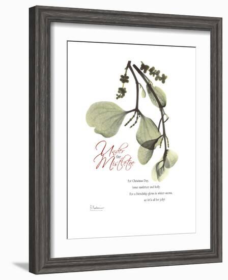 Xmas Mistletoe-Albert Koetsier-Framed Premium Giclee Print