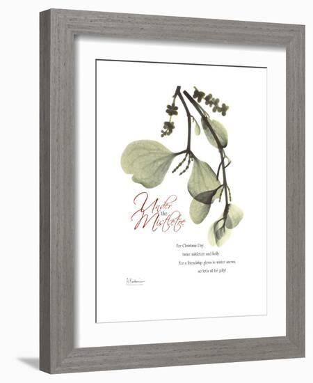 Xmas Mistletoe-Albert Koetsier-Framed Premium Giclee Print