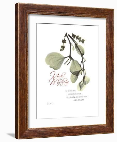 Xmas Mistletoe-Albert Koetsier-Framed Premium Giclee Print