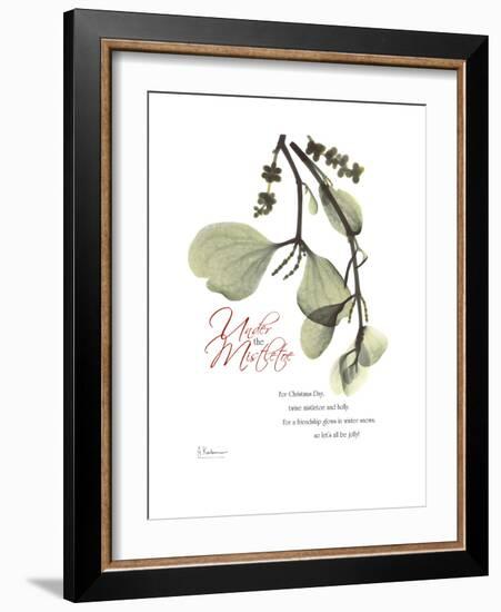 Xmas Mistletoe-Albert Koetsier-Framed Premium Giclee Print