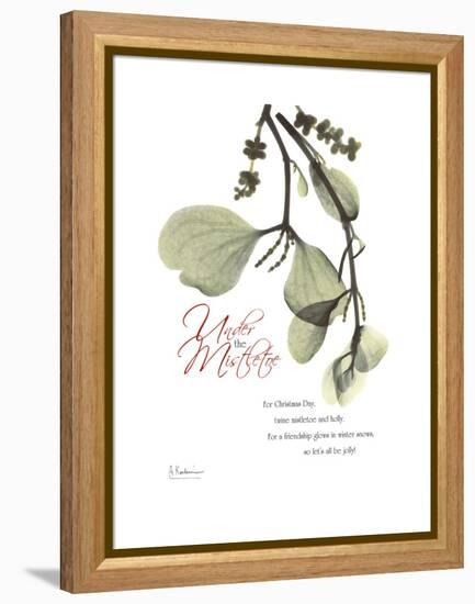 Xmas Mistletoe-Albert Koetsier-Framed Stretched Canvas