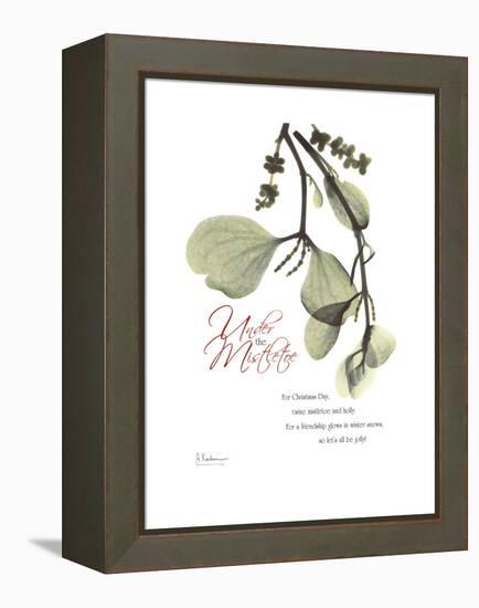 Xmas Mistletoe-Albert Koetsier-Framed Stretched Canvas