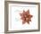 Xmas Poinsettia-Albert Koetsier-Framed Art Print