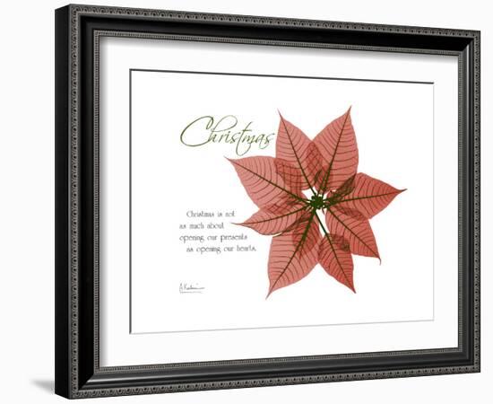 Xmas Poinsettia-Albert Koetsier-Framed Art Print