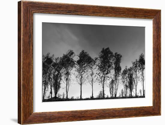 Xochimilco-Moises Levy-Framed Photographic Print