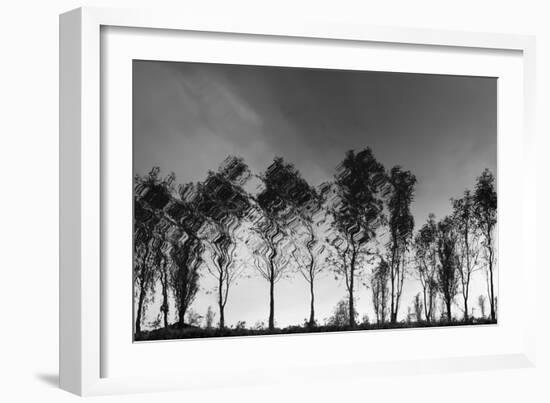 Xochimilco-Moises Levy-Framed Photographic Print