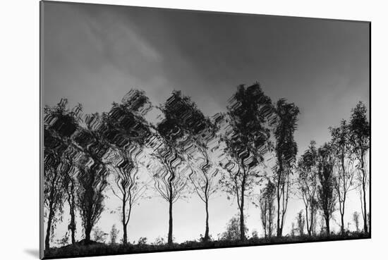 Xochimilco-Moises Levy-Mounted Photographic Print