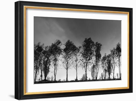 Xochimilco-Moises Levy-Framed Photographic Print