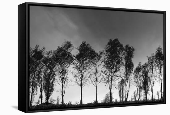 Xochimilco-Moises Levy-Framed Stretched Canvas