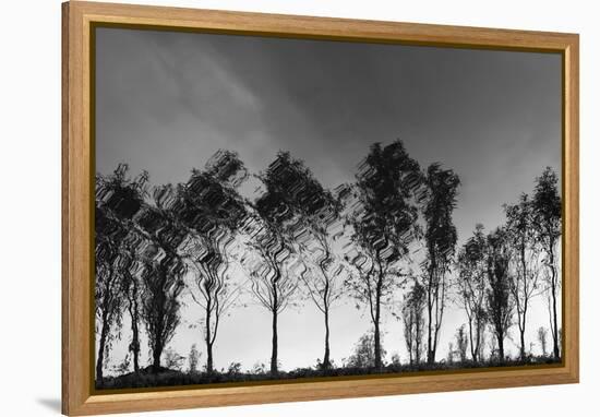 Xochimilco-Moises Levy-Framed Premier Image Canvas