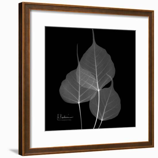 Xray Bo Tree-Albert Koetsier-Framed Premium Giclee Print