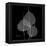 Xray Bo Tree-Albert Koetsier-Framed Stretched Canvas