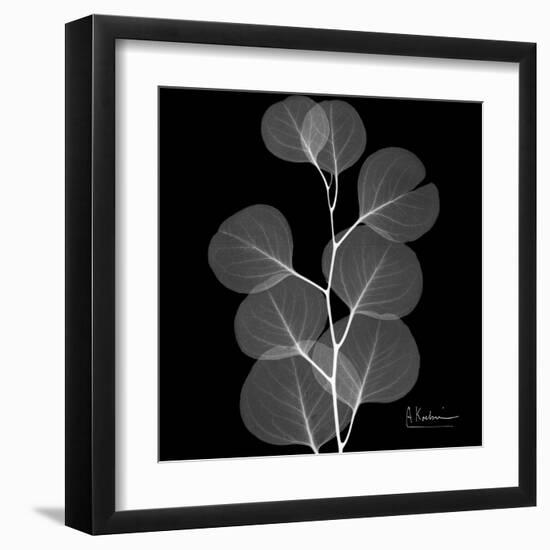 Xray Eucalyptus-Albert Koetsier-Framed Art Print