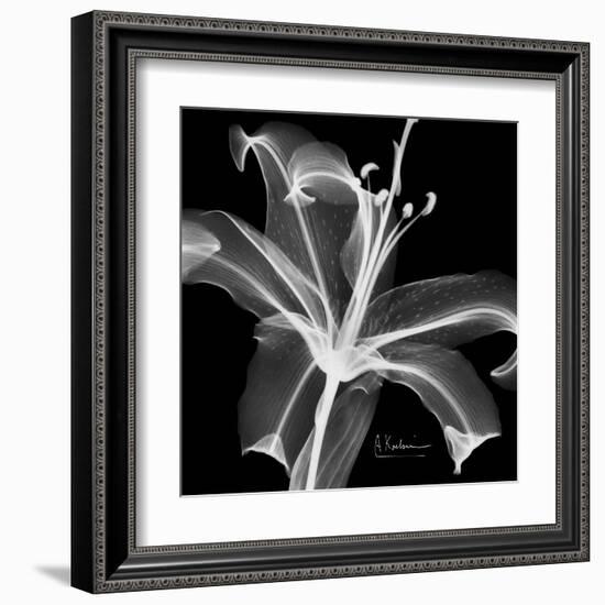 Xray Lily-Albert Koetsier-Framed Art Print