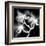 Xray Orchid-Albert Koetsier-Framed Art Print