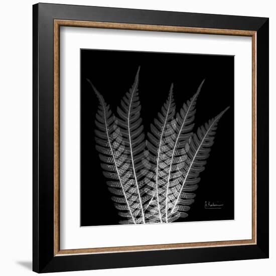 Xray Tree Fern-Albert Koetsier-Framed Art Print